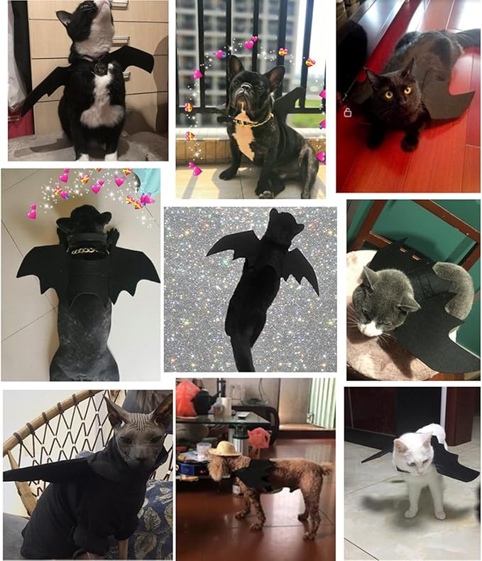 Pet Cat Bat Wings for Halloween Party Decoration, Dog Cosplay Bat Costume,Puppy and Cat Dress Up Accessories (Black, Large)