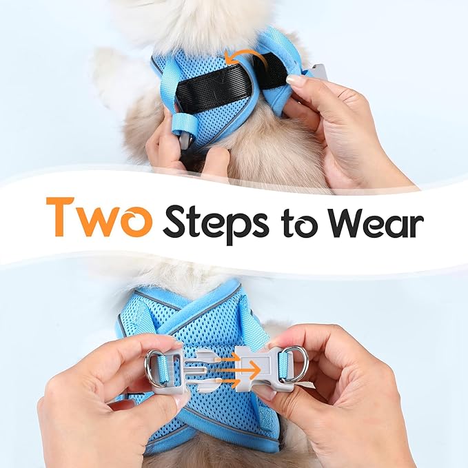 Dooradar Cat Harness and Leash Set, Escape Proof Lightweight Kitten Harness, Soft Breathable Reflective Vest for Outdoor Walking Traveling, Adjustable for Medium Cats, Orange & Blue, M