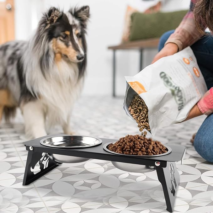 Elevated Dog Bowls,Raised Small Dogs Bowl Stand with Stainless Steel Food Water Bowls,Foldable Pet Feeder Station for Cats Puppies(Height 3.4'')