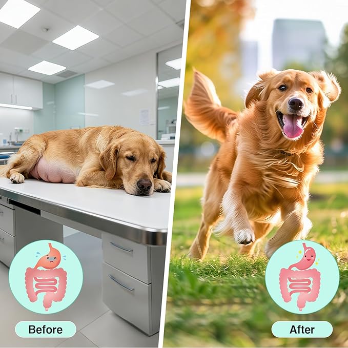 Premium Probiotics for Dogs with Digestive Enzymes & Fiber | Duck Flavor Soft Chews for Itchy Skin, Ear Health, Gut & Immune Support (Pork)