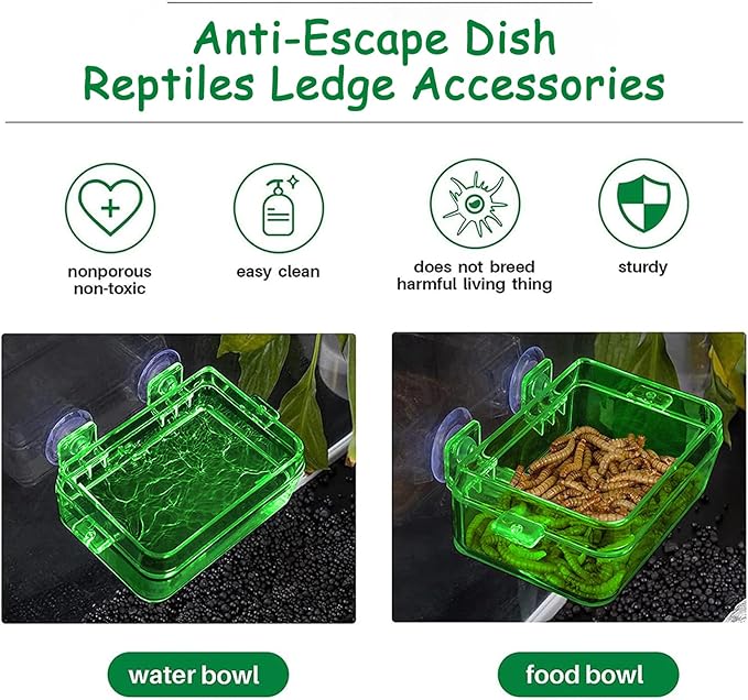 Tfwadmx 2 Pcs Reptile Feeder Chameleon Bowl Water Dish with Suction Cup Gecko Worm Feeder Anti-Escape Chameleon Supplies Accessories for Iguana Lizard Bearded Dragon Snakes （Green,L）