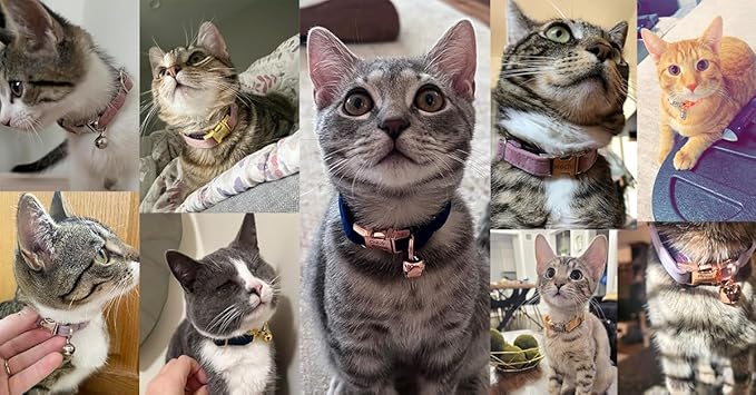 Personalized Cat Collar with Bells,Velvet Customized Small Cat Collar with Name Tag,Pet Collar with Name Phone Number Engraved ID Tags for Boy and Girl Kitten Cats (Camel Color)