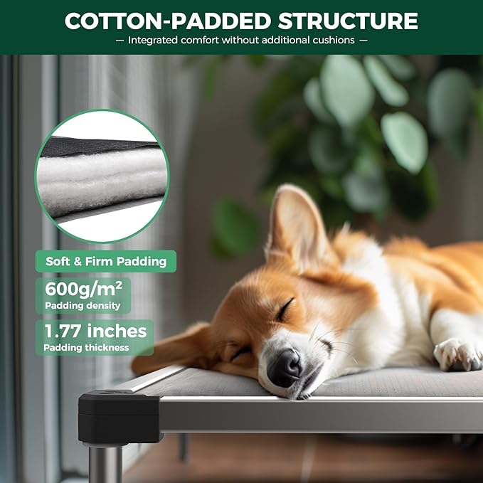 FXW TitanNest Chew-Proof Elevated Dog Bed, Raised Cot for Indoor/Outdoor/Camping Use, Durable & Washable Padded Pet Bed for Toy Dogs, 23.0" L x 17.0" W x 4.5" H, Black