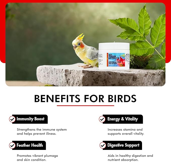 Morning Bird Bee Pollen Granules 1 Oz – Naturally Immune Support & Protein Powder for Birds – Boosts Strength, Feather Health & Energy Supplements – Easy to Mix with Food for All Bird Types