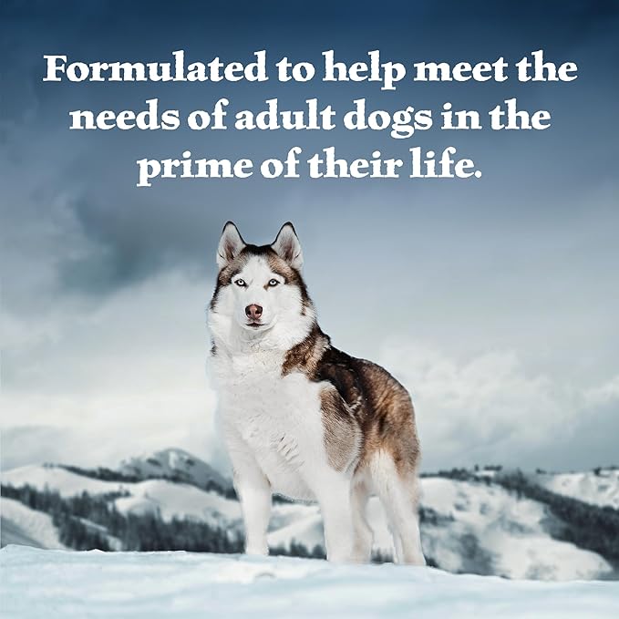 Blue Buffalo Wilderness Snake River Grill Natural High Protein Wet Food for Adult Dogs, Trout, Venison & Rabbit, 12.5-oz Cans, 12 Count