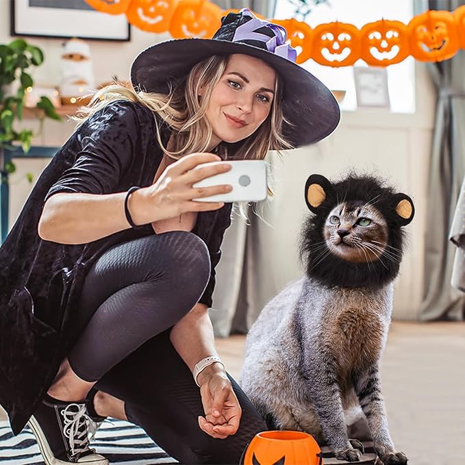 Cat Halloween Costumes - Lion Mane Wig for Cats & Puppies, Adjustable Pet Cosplay Apparel Kitten Outfits for Halloween Christmas Cat Birthday Party (Black)