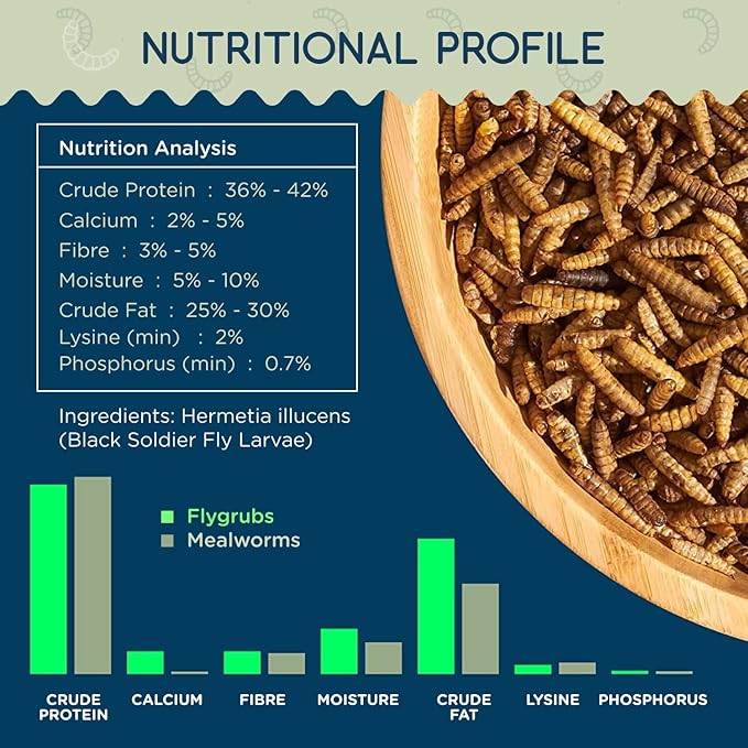 FLYGRUBS 5 lb Dried Black Soldier Fly Larvae - High-Calcium Chicken Treats for Laying Hens and Wild Birds - Nutrient-Rich Mealworm Alternative - Supports Feather Growth and Strong Eggshells