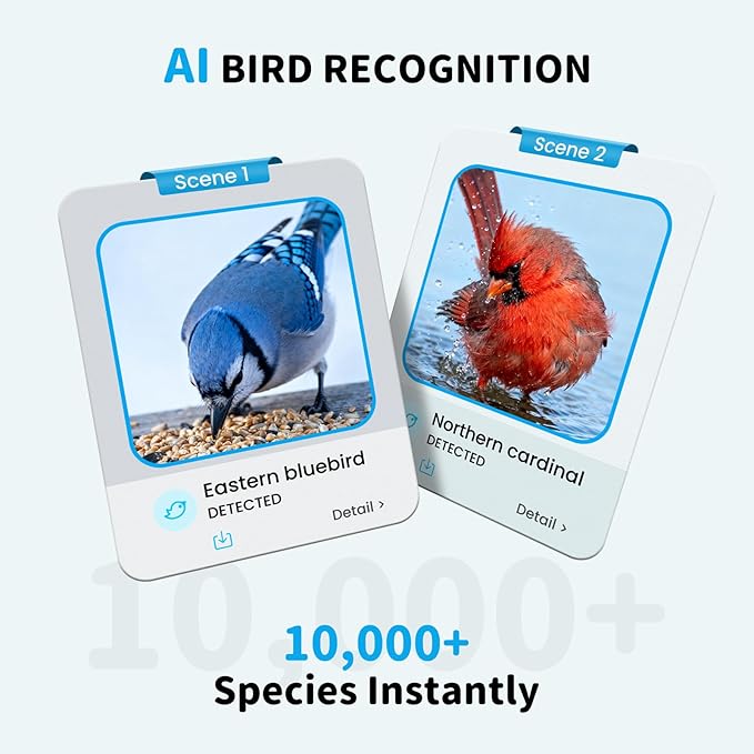 Bird Feeder with Camera and Bird Bath for Outdoors, Dual-Lens 2K HD Video with AI Identification, Solar Powered, Instant Alerts, IP66 Weatherproof