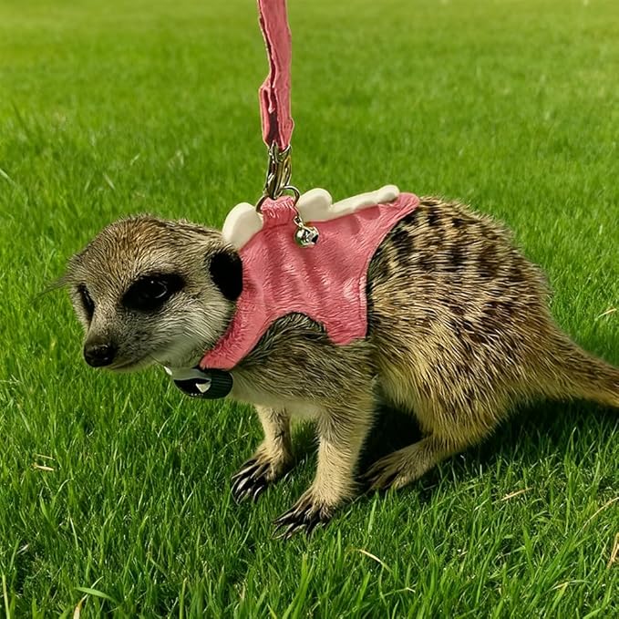 Ferret Leash and Harness Set, Dinosaur Design Small Animal Harness with Leash, Adjustable & Escape-Proof, Soft Plush Comfort for Rabbits, Kitten, Bunny, Hedgehog (Pink)