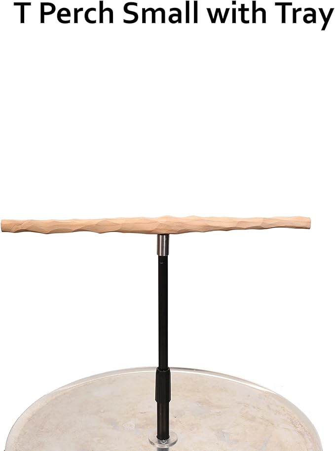 Parrot Training Perch Stand with Potty Tray (T Perch, Small)