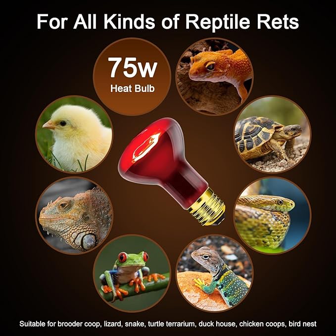 Reptile Heat Lamp 75W, Heat Lamp Bulbs for Reptiles and Amphibians, UVA Daylight Basking Light Suitable for Bearded Dragons, Lizards, Turtles, and Chickens (2 Pack)