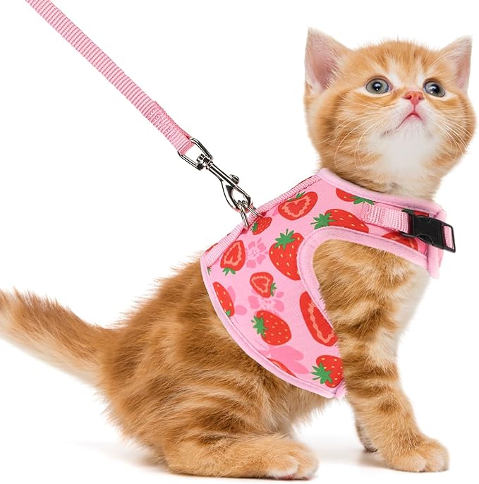 PUPTECK Soft Mesh Cat Vest Harness and Leash Set Puppy Padded Pet Harnesses Escape Proof for Cats Small Dogs Rabbits Bunny