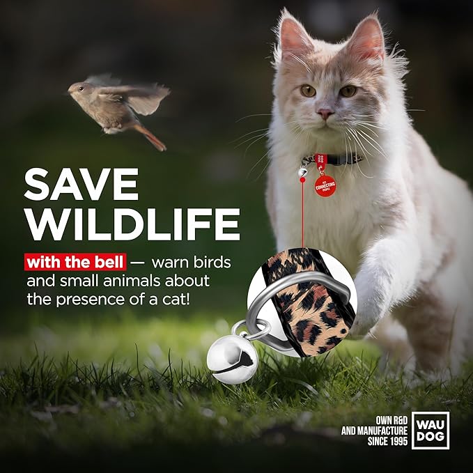 WAUDOG Nylon Cat Collar with Removable Bell and QR ID Tag for Small, Medium and Large Breeds Adjustable Long Lasting Durable Kitten Collars Boy & Girl