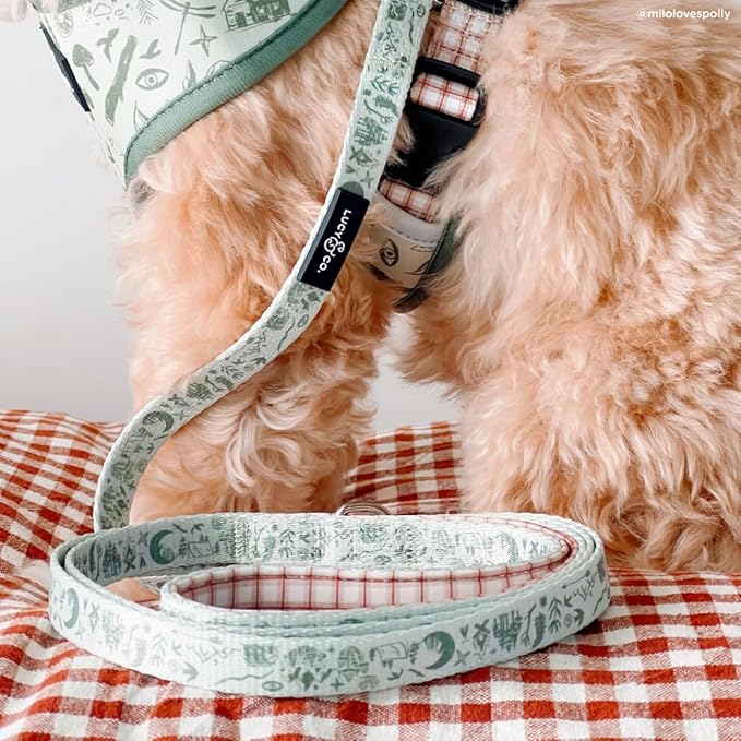 Lucy & Co. 5 Foot Designer Dog Leash for Small, Medium or Big Dogs or Puppies Puppy – Pet Accessories & Supplies- Small-Green Outdoor Plaid