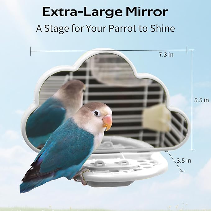 Bird Mirror with Perch & Slow Feeder – Interactive Bird Toy, Birds Cage Accessories for Parakeet, Budgies, Cockatiels, Conures, Lovebird, Finches & Canary – Relieve Boredom-White