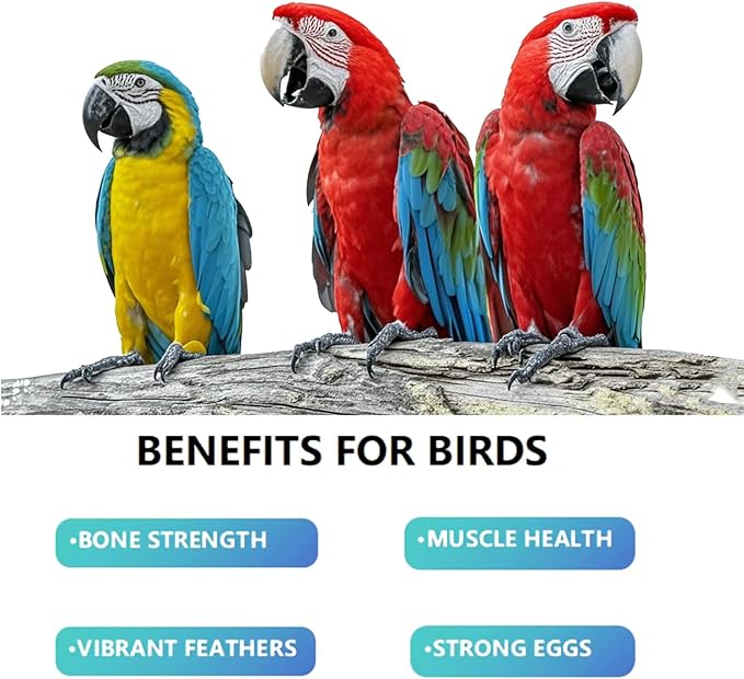 Calcium Powder for Birds with Magnesium & Vitamin D3 – 4oz，Essential for molting Period ， Faster Feather Regrowth, Strong Beak & Bone