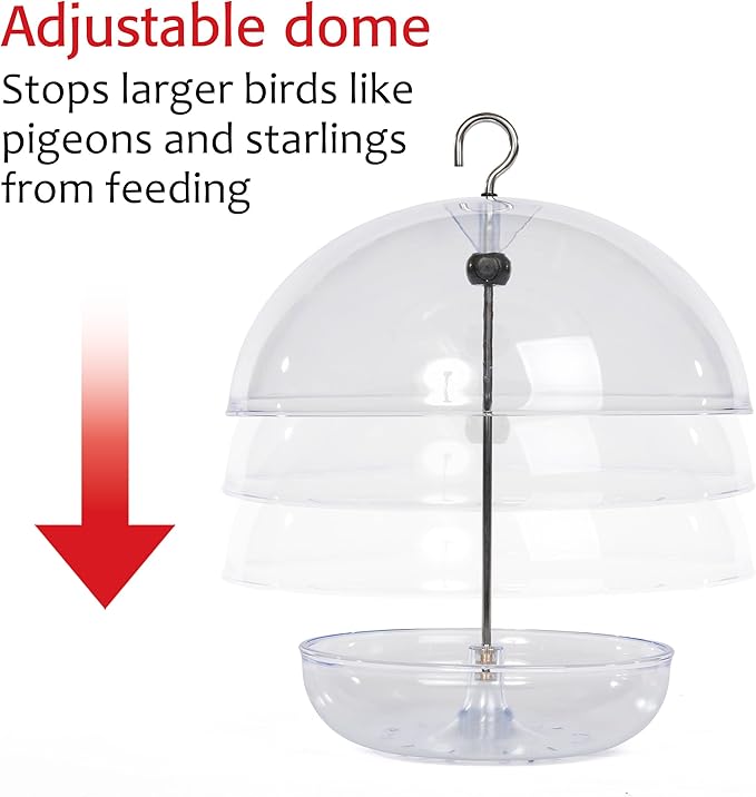 Mealworm Feeder - Jacobi Jayne® Pearl Feeder - Dome Bird Feeder for Small Birds - Bluebird Feeder for Mealworms - Platform Bird Feeder with Dome Cover - Covered Mealworm Feeder - Attracts Blue Birds