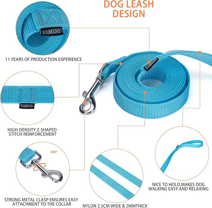 Strong Durable Nylon Dog Training Leash, 1 Inch Wide Traction Rope, 10 ft Long, for Small and Medium Dog (Mint Blue, 10 Feet)