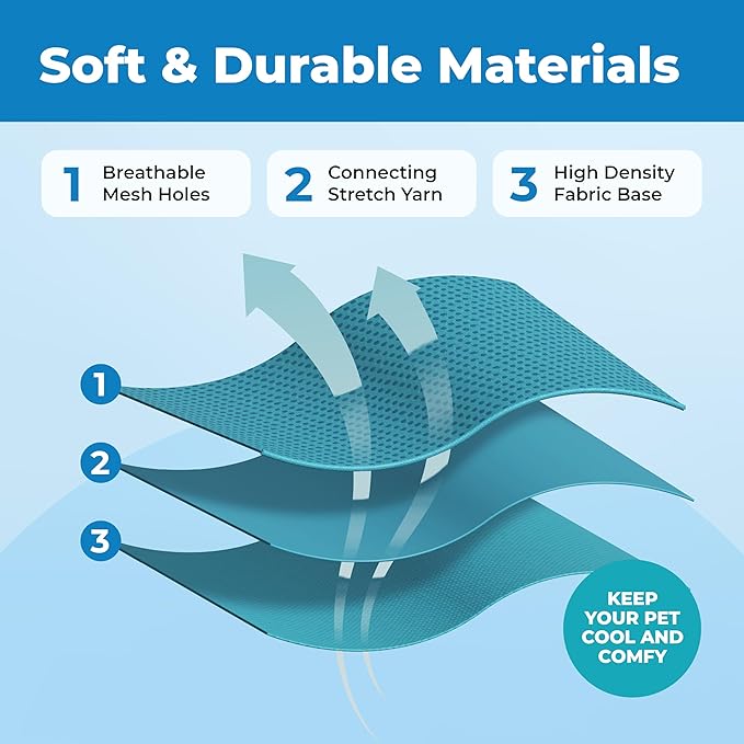 Voyager Escape Proof Cat Harness and Leash Set with Reflective Stitching, Neoprene Handle 5ft - Supports Small, Medium and Large Cats, Kittens for Walking by Best Pet Supplies - Turquoise, XXXS