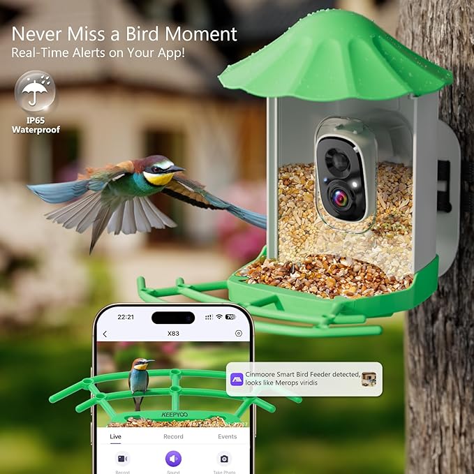 Smart Bird Feeder with Camera for Outdoors Solar Powered, 2.5K HD Video, AI Bird Species Identification, Instant Arrival Alerts, Wireless 2.4Ghz WiFi & Include 32GB SD Card, Ideal Gift (Green)