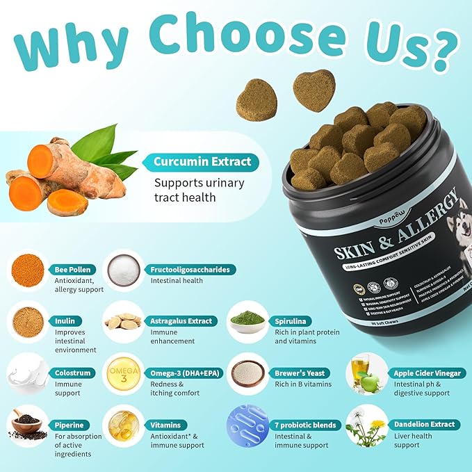 Dog Skin & Allergy Chews - Dog Probiotics for Sensitive Skin Health Support - Allergy Relief - Support Seasonal Allergies, Immune & Gut & Digestive Health Supplement - Beef Flavor - 90 Count