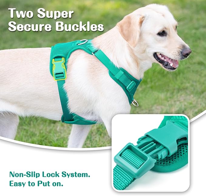 No Pull Dog Harness for Small Medium Large Dogs - Adjustable Two-Layer Mesh Dog Vest with Dual Clip, Escape Proof, Quick Release, Lightweight Breathable Mesh for Walking Hiking (MARRS Green,L)