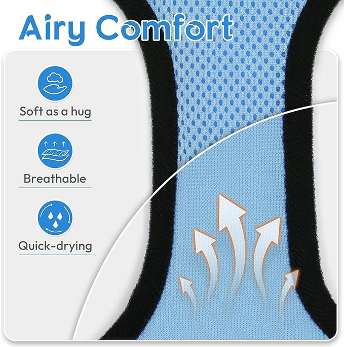 Dooradar Cat Harness and Leash Set, Escape Proof Safe Adjustable Kitten Vest Harnesses for Walking, Easy Control Soft Breathable Mesh Jacket with Reflective Strips for Cats, Light Blue, XXS