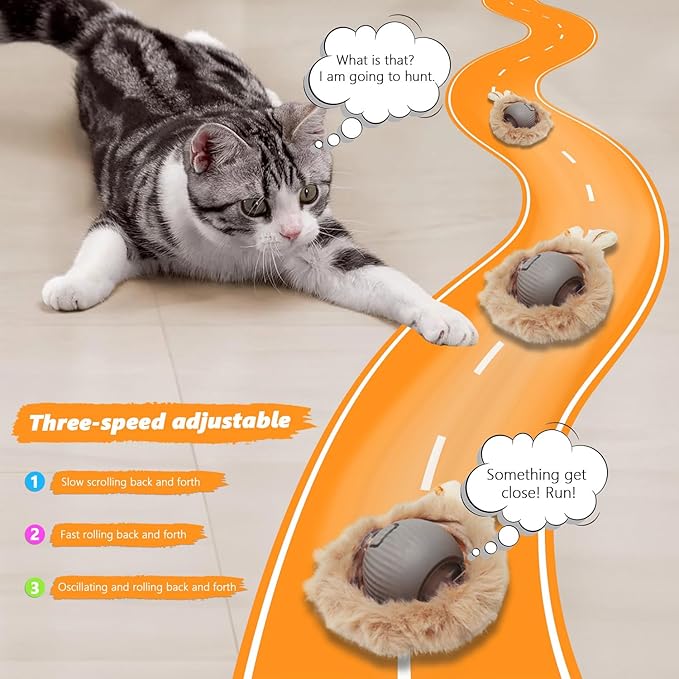 Cat Toys 24 PCS, Interactive Cats Toys for Indoor Cat, Speedy Tail 2.0 Cat Toy, Silvervine Sticks Feather Mouse Toy for Kittens