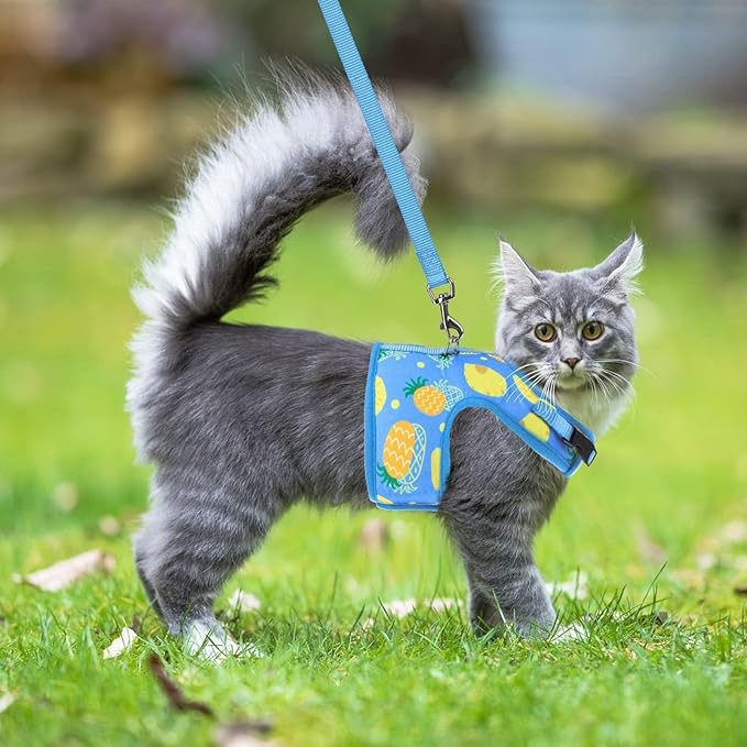 PUPTECK Soft Mesh Cat Vest Harness and Leash Set Puppy Padded Pet Harnesses Escape Proof for Cats Small Dogs Rabbits Bunny