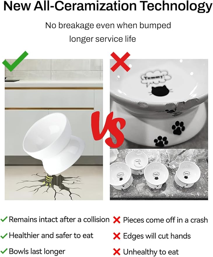 Cat Water Bowl, 16 OZ Ceramic Elevated Cat Bowls, 15° Tilted and Raised Pet Food Dish, Anti Vomiting Protect Pets' Spines and Whisker Fatigue