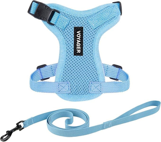 Voyager Step-in Lock Adjustable Cat Harness w. Cat Leash Combo Set with Neoprene Handle 5ft - Supports Small, Medium and Large Breed Cats by Best Pet Supplies - Baby Blue, S