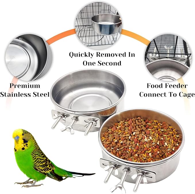 PINVNBY 2pcs Stainless Steel Bird Bowl Feeding Dish Cups for Parrot, Parakeet, African Greys, Conure, Cockatiels, Lovebird, Budgie, Chinchilla (Three Screws Size: L)