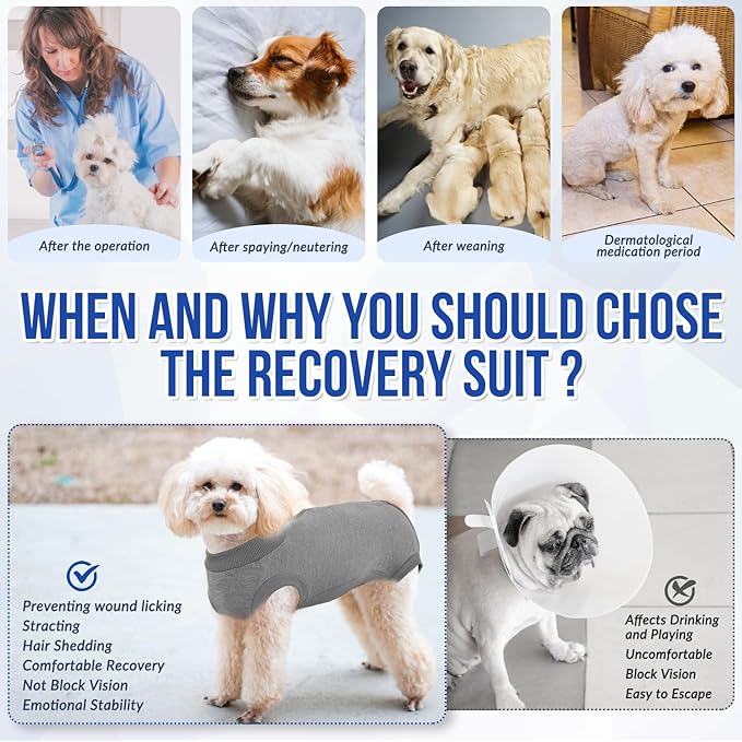 Lukovee Recovery Suit for Dogs, Onesie Surgery Recovery Suit for Female Male Dogs, Abdominal Wounds Cone E-Collar Alternative Prevent Licking Spay Recovery Suit (GY,XL)