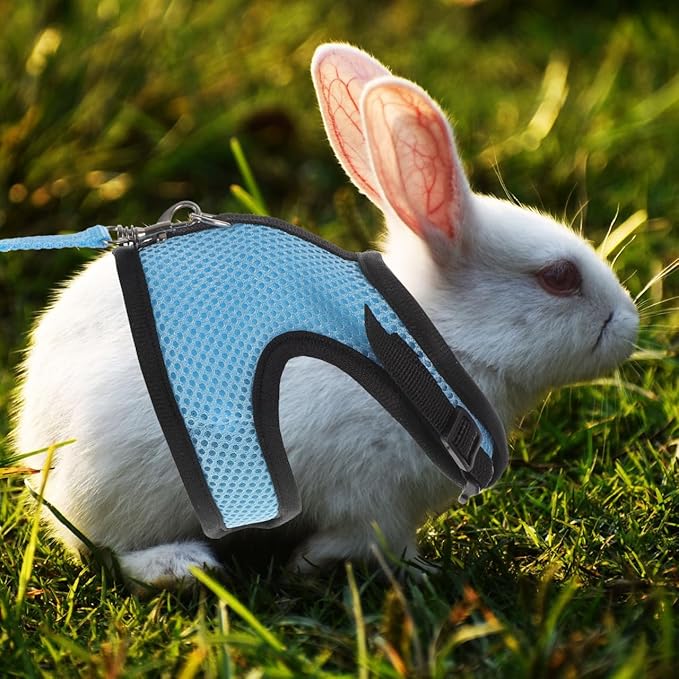 Guinea Pig Harness and Leash Set Soft Mesh Small Animal Vest Adjustable Comfortable Pet Harness Leash for Guinea Pigs Rabbits Hamsters Small Pets