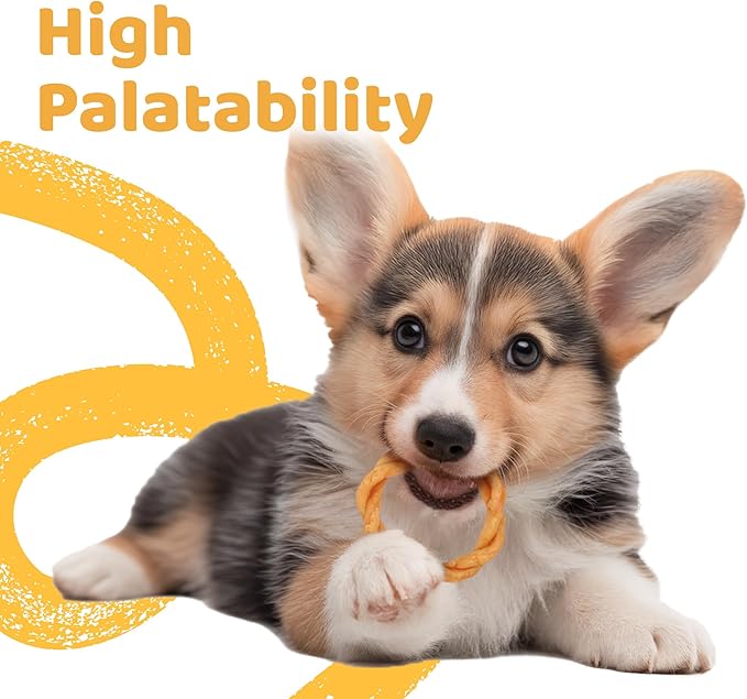 iPaw Turkey Dog Treats, All Natural Human Grade Dog Treat, Suitable for Training chew, US Sourced Raw Material, Hypoallergenic, Rawhide Alternative, Ring (Pumpkin)