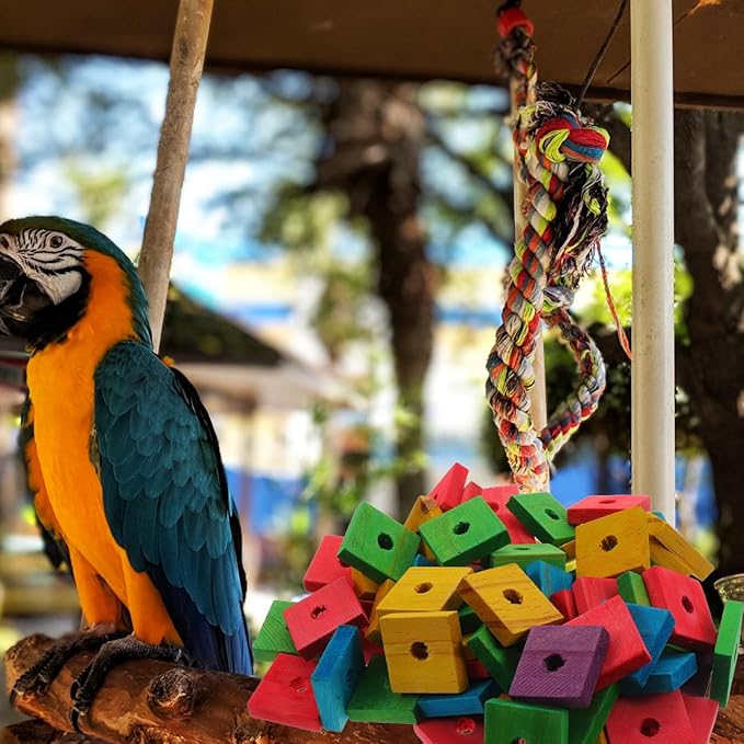 SUPVOX Bird Toys,100 Pcs Wooden Bird Chewing Blocks: Bird Toys for Parrots,Parrot Toys for DIY Shredding Large Bird (Mixed Color)