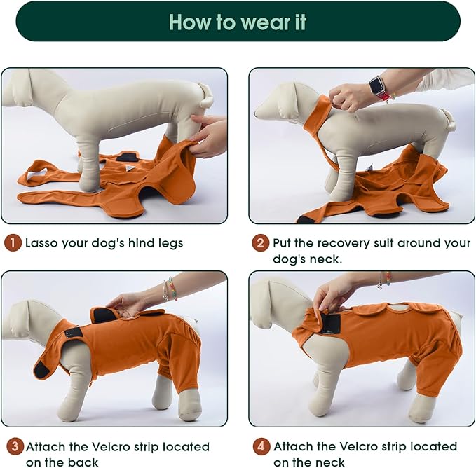 Kuoser Thigh Wound Protective Sleeve for Dogs - Dog Surgery Recovery Suit for Rear Legs - Brown XS