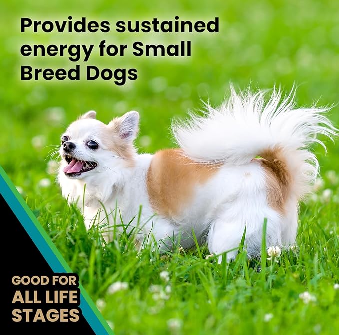 VICTOR Classic - Hi-Pro Small Breed Adult, 5-lb