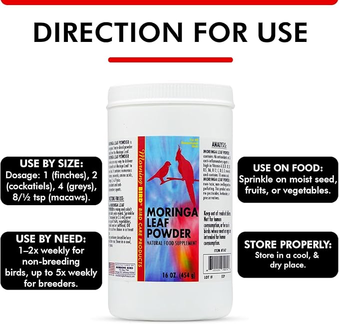 Morning Bird Moringa Leaf Powder 16 Oz – Natural Food Supplement with Omega-3, Iron, Vitamins B & K – Supports Detox, Energy, Brain & Immune Health – Clean Plant-Based Supplement for All Birds