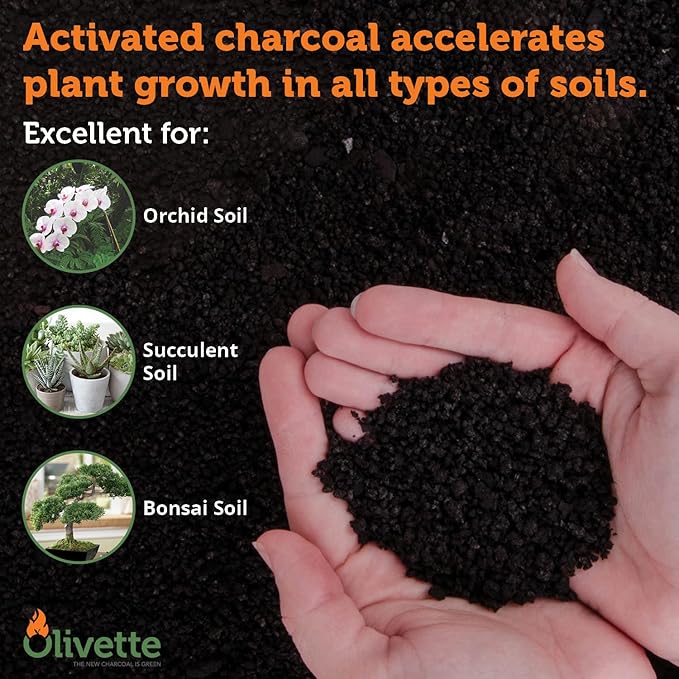 Olivette Horticultural Biochar Activated Charcoal for Plants, USDA Organic Moisture Control for Terrarium Trees & Potted Plants, Eco-Conscious, 3 Bags