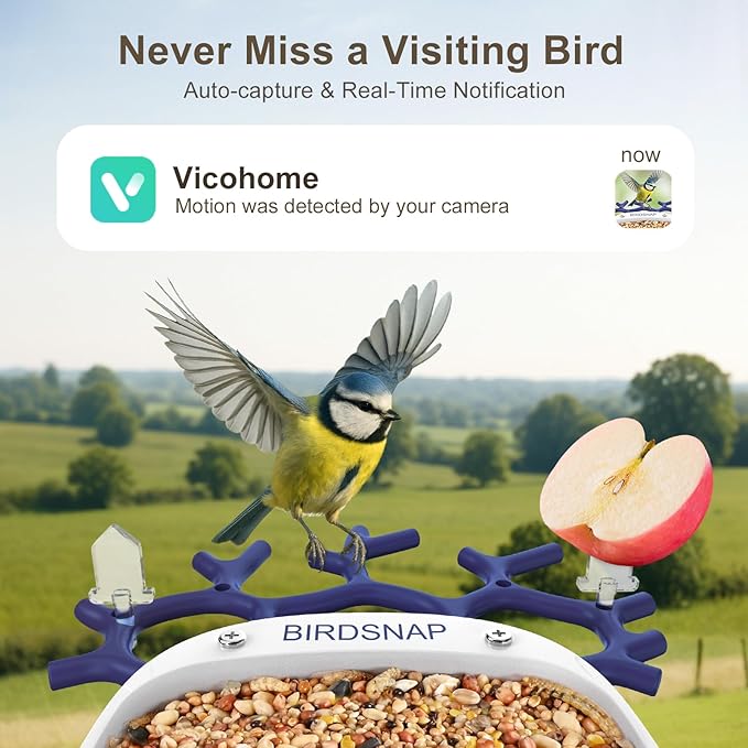 birdsnap® P33 - Bird Feeder with Camera Solar Powered, 2K Video Bird Camera Feeder Live with 32GB Card, AI Identify Feather Species, Auto Record in Backyard, for Birds Lover