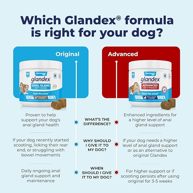 Vetnique Glandex Anal Gland Soft Chew Treats with Pumpkin for Dogs Digestive Enzymes, Probiotics Fiber Supplement for Dogs Boot The Scoot (Advanced Strength Duck/Bacon Chews (Veg), 30 Count)