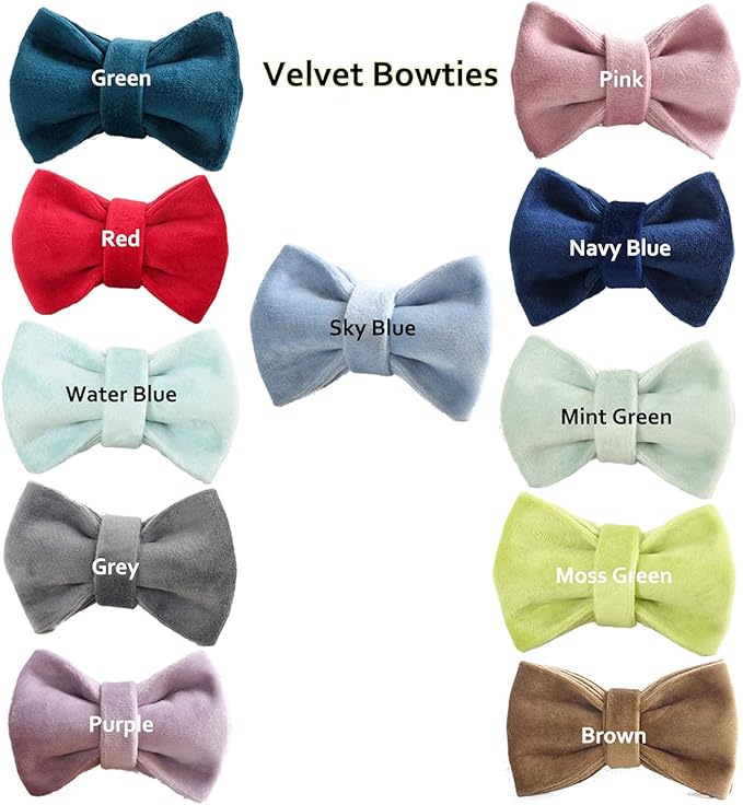 Cat Collar Personalized with Name Engraved and Bell, Customized Velvet Collars for Puppy Kittens (Aqua, L)