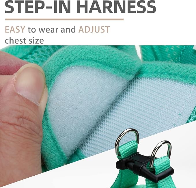 PUPTECK Adjustable Dog Harness Collar and Leash Set Step in No Pull Pet Harness for Small Medium Dogs Puppy and Cats Outdoor Walking Running, Soft Mesh Padded Reflective Vest Harnesses, Solid Green L