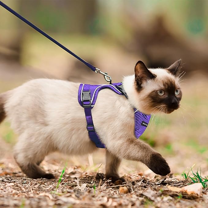 Cat Harness and Leash Set, Soft and Breathable Vest with Reflective Strip, Anti Escape Adjustable Cat Harness, Easy to Wear for Cats Walking and Traveling, Purple, M