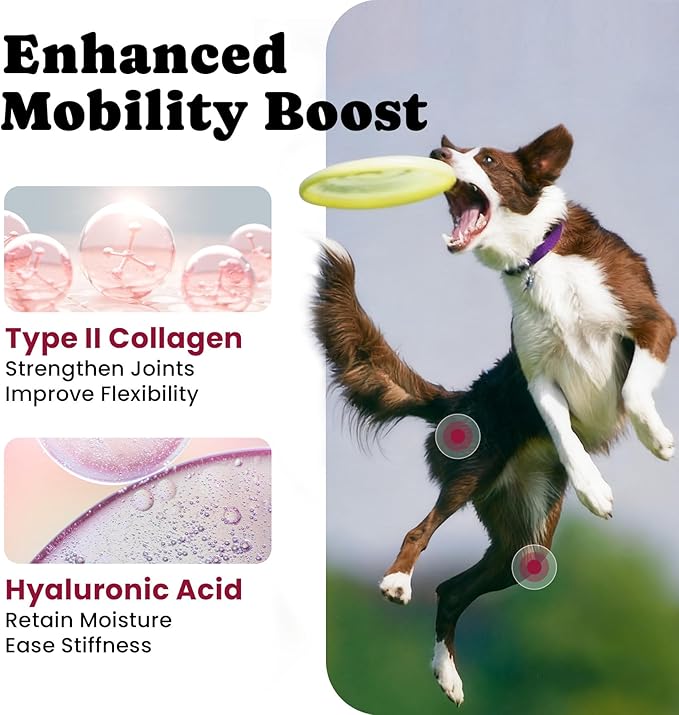 Glucosamine for Dogs Hip & Joint Support, Joint Supplement for Dogs with Chondroitin, Dog Joint Chews for Pain and Inflammation Relief for Large & Small Breeds - 60-Day Satisfaction Guarantee - 180 Ct