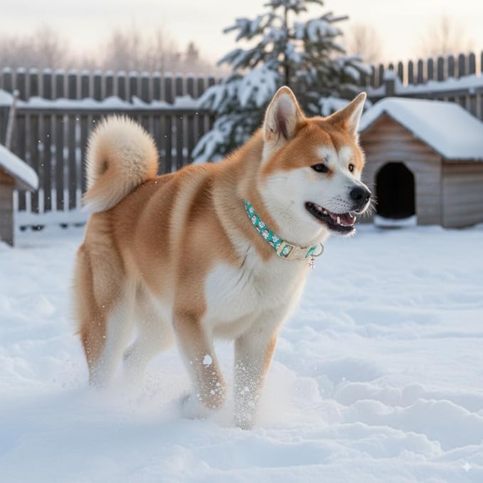 Christmas Dog Collar，Soft Cotton Dog Collars for Medium Dogs, Dog Christmas Collar with Santa for Small Medium Large Dogs, Adjustable Green Collars Perfect for Girl or Boy Dog Collars-M