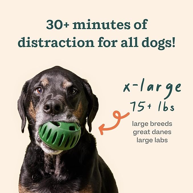 WOOF Starter Pack - Interactive Dog Toys for Boredom - Dog Treat Molds Silicone - Chicken-Flavored Healthy Treats for Dogs - Pupsicle Doggy Enrichment Toy - for XL Pups - 75+ lbs