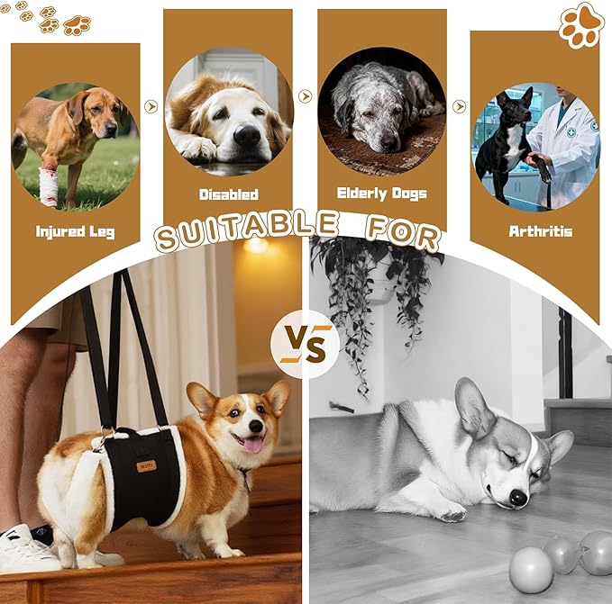 Dog Lift Harness Sling for Medium Dogs - Adjustable No-Slip Rear Leg Support with Padding & Back Fixed Buckle, Hip Dysplasia/ACL/TPLO Surgery Recovery Aid, Dog Sling for Injured,Disabled/Senior Dogs