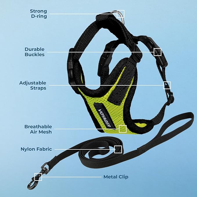 Voyager Step-in Lock Adjustable Cat Harness w. Cat Leash Combo Set with Neoprene Handle 5ft - Supports Small, Medium and Large Breed Cats by Best Pet Supplies - Lime Green/Black Trim, XXS
